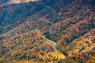 Aerial-style view of colourful autumn forest and a winding mountain road at Newfound Gap in the Great Smoky Mountains.