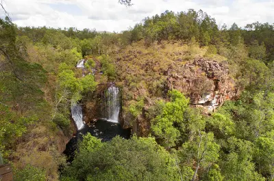 An elevated view of Florence Falls in Litchfield National Park, where twin waterfalls plunge into a sheltered swimming pool beneath rugged sandstone cliffs. Visitors swimming below provide a sense of scale against the surrounding tropical woodland.