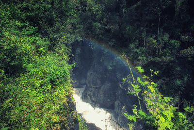 Chute Andriamamovoka waterfall flowing through rainforest canyon terrain in Ranomafana National Park, Madagascar