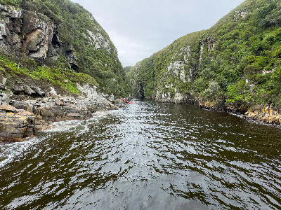 Red kayaks paddling through Storms River Gorge between steep forested cliffs in Tsitsikamma National Park, South Africa.
