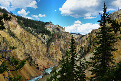 Wide view of the Grand Canyon of the Yellowstone from Lookout Point with colourful canyon walls and the river below
