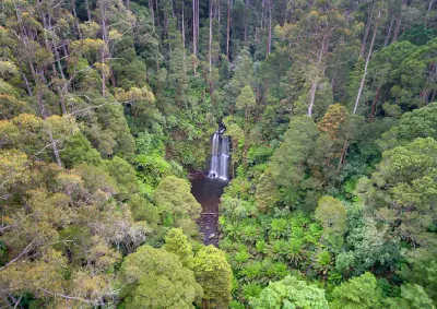 Beauchamp Falls surrounded by dense temperate rainforest near Beech Forest in the Otways.