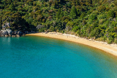 Turquoise water and curved golden beach at Te Pukatea Bay in Abel Tasman National Park, New Zealand.