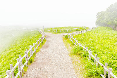 Gravel path with wooden fencing leading to the Furepe Falls viewpoint in Shiretoko, Hokkaido