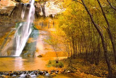 Lower Calf Creek Falls cascades over a sandstone cliff into a shallow pool framed by golden autumn trees and fallen leaves.