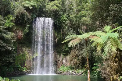 Millaa Millaa Falls cascading into a pool beside large tree ferns and tropical rainforest in Queensland, Australia.