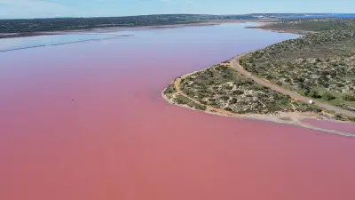Aerial view across the vast pink waters of Hutt Lagoon with the coastal road curving along its shoreline.