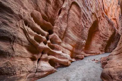 Eroded red sandstone walls with sweeping patterns and rounded alcoves line the sandy passage through Dry Fork Narrows.