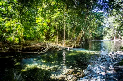 Sunlight illuminates a shallow, crystal-clear river crossing with a rocky bed, surrounded by a dense, green tropical rainforest and overhanging tree roots.