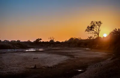Sunrise above the dry Limpopo River channel near Mapungubwe National Park, Limpopo.
