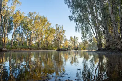 Morning light illuminates eucalyptus trees reflected in the calm waters of the Drysdale River.