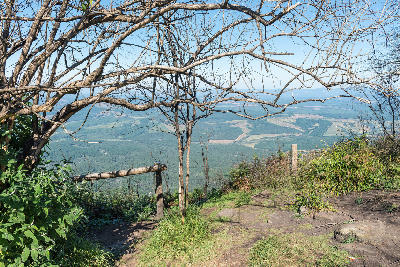 Wonder View lookout near Graskop, South Africa, with trees framing views across the Lowveld and surrounding forestry landscapes.