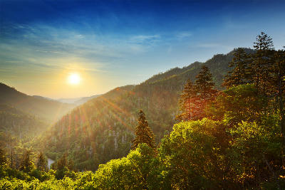 Golden sunset illuminating forested mountain ridges and foreground trees at Newfound Gap in the Great Smoky Mountains.