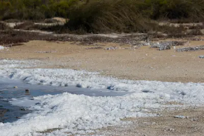 White salt deposits line the shallow shoreline of Lake Thetis near Cervantes.