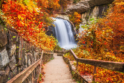 Stone-lined walkway and wooden railings leading through vivid orange and red autumn foliage toward Looking Glass Falls cascading beneath a rock overhang in Pisgah National Forest.