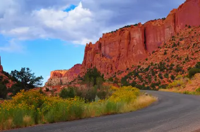 Burr Trail Road curves beneath towering red sandstone cliffs, with yellow wildflowers and desert vegetation lining Long Canyon.