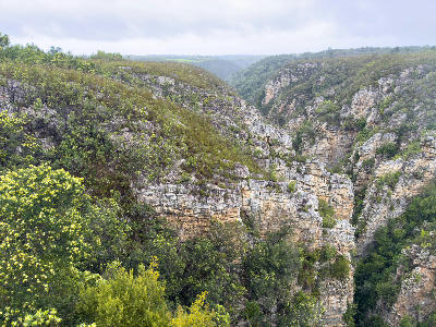 Rocky cliffs and indigenous vegetation overlooking the Bloukrans River Gorge on the Garden Route.