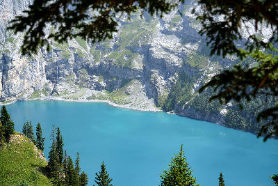 Oeschinensee seen through alpine trees, with turquoise water, steep limestone cliffs, and forested slopes in the Bernese Alps, Switzerland.