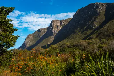 Harold Porter Botanical Garden, Betty’s Bay