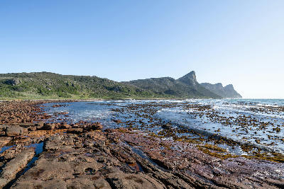 Rocky shoreline and kelp beds at Buffels Bay near the Cape of Good Hope on the Cape Peninsula in Table Mountain National Park, South Africa.