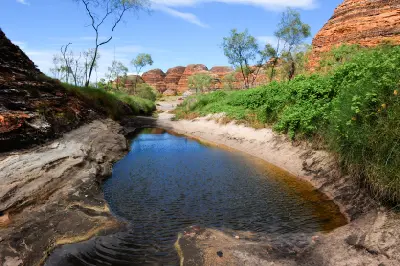 Clear water fills a rocky creek pool surrounded by lush vegetation and orange-and-black striped sandstone domes in Purnululu National Park.