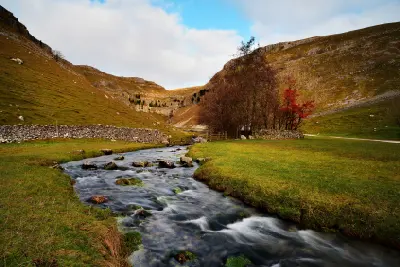 Flowing Gordale Beck bordered by stone walls, autumn trees and grassy hills leading towards Gordale Scar in North Yorkshire, England.