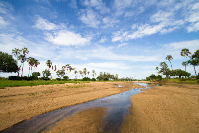 The Great Ruaha River flowing through sandy channels in Ruaha National Park, Tanzania.