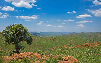 Rolling green hills and rocky ridges in Suikerbosrand Nature Reserve, Gauteng, viewed from an elevated lookout beneath a blue sky with scattered clouds.