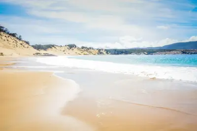Sandy beach and turquoise water at Crescent Bay in Tasman National Park, Tasmania.