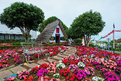 Traditional thatched Santana house with steep triangular roof, surrounded by colourful flower beds in Santana, Madeira, Portugal.