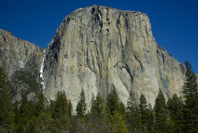 El Capitan Yosemite National Park against blue sky with pine forest below the cliff.
