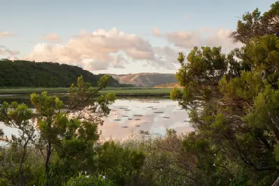 Aire River and surrounding wetlands framed by coastal vegetation and forested Otway hills in Victoria.