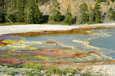 Excelsior Geyser Crater runoff Yellowstone Midway Basin orange yellow bacterial mats thermal channels