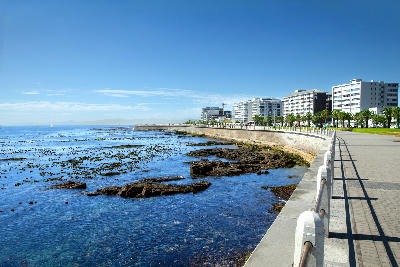 Sea Point Promenade with seawall, palm-lined walkway, and apartment buildings along the Atlantic coastline in Cape Town.