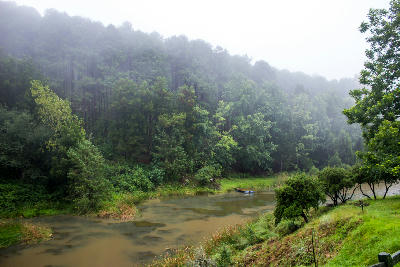 Misty forest and plantation slopes surrounding a secluded lake near Haenertsburg in Magoebaskloof, Limpopo, South Africa.
