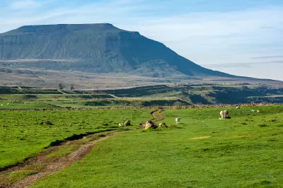 Winding farm track through green fields and dry-stone walls towards Ingleborough mountain in the Yorkshire Dales, England.