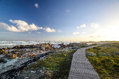 Wooden boardwalk beside rocky coastline and ocean surf at Cape Agulhas, the southernmost point of Africa, South Africa.