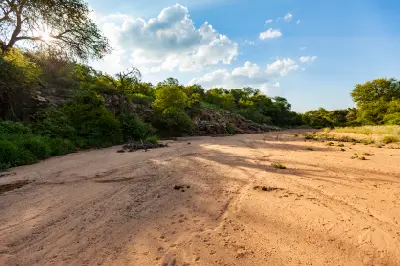 Dry sandy riverbed bordered by sandstone cliffs and riverine forest in the Limpopo Valley near Botswana's southern border.