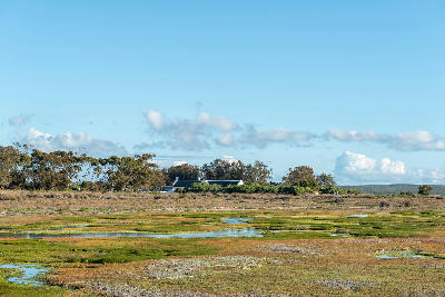 View across the tidal wetlands of Langebaan Lagoon toward the historic Geelbek Homestead in West Coast National Park, South Africa.