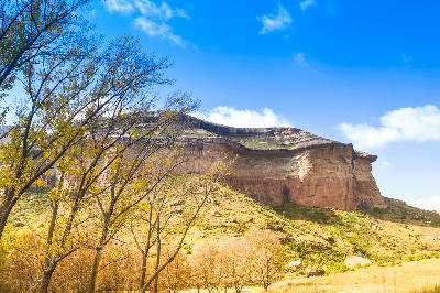 Mushroom Rock sandstone formation rising above autumn trees in Golden Gate Highlands National Park, Free State, South Africa.