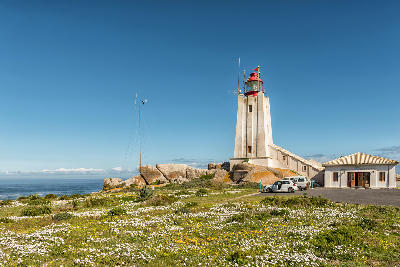 Cape Columbine Lighthouse surrounded by wildflowers and coastal vegetation in the Cape Columbine Nature Reserve near Paternoster on South Africa’s West Coast.