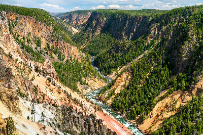 Wide view of the Grand Canyon of the Yellowstone from Lookout Point with the river winding through colourful canyon walls