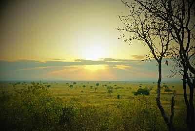 Sunrise over the Mkata Floodplain in Mikumi National Park, Tanzania.