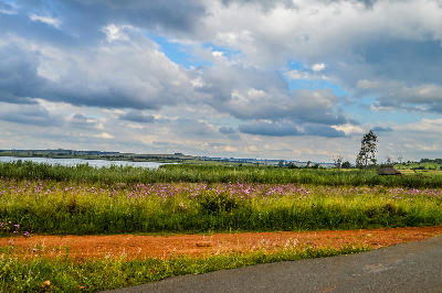 Wetlands and grasslands at Rietvlei Nature Reserve near Pretoria under dramatic summer clouds.