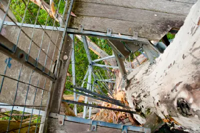 View looking down the metal climbing pegs and platforms attached to Gloucester Tree near Pemberton, Western Australia.
