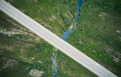 Straight-down drone view of Bloukrans Bridge crossing the forested Bloukrans River Gorge on the Garden Route in South Africa.