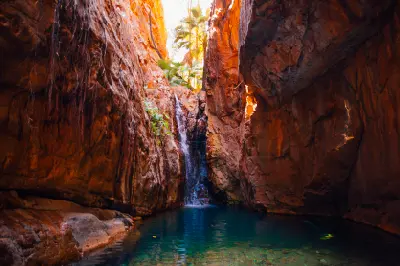 Small waterfall dropping into a clear pool between towering red rock walls and tropical palms in El Questro Gorge.
