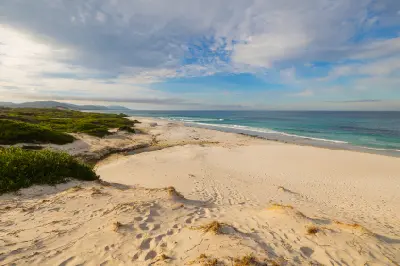 Wide white-sand shoreline and low vegetated dunes beside turquoise water at Friendly Beaches, Tasmania.