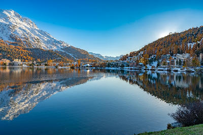 Lake St. Moritz with town buildings, autumn forest, and snow-covered mountains reflected in calm water, Engadin, Switzerland.