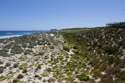 Coastal dunes, native vegetation and wooden visitor boardwalk overlooking Seal Bay on Kangaroo Island, South Australia.